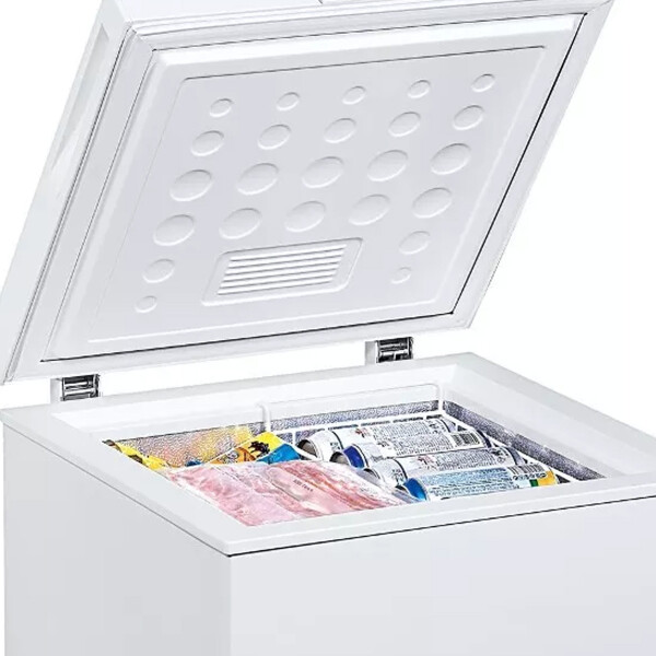 Freezer Horizontal Xion Xi-hf110 110 L FREEZER HORIZONTAL XION 100 L XI-HF110**
