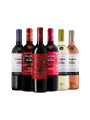 Pack Selección Hallowine Mix x6 de Casillero del Diablo Pack Selección Hallowine Mix x6 de Casillero del Diablo