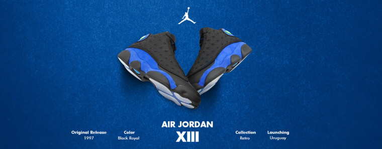 Air Jordan XIII