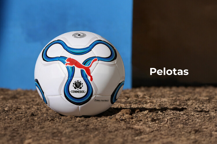 Pelotas