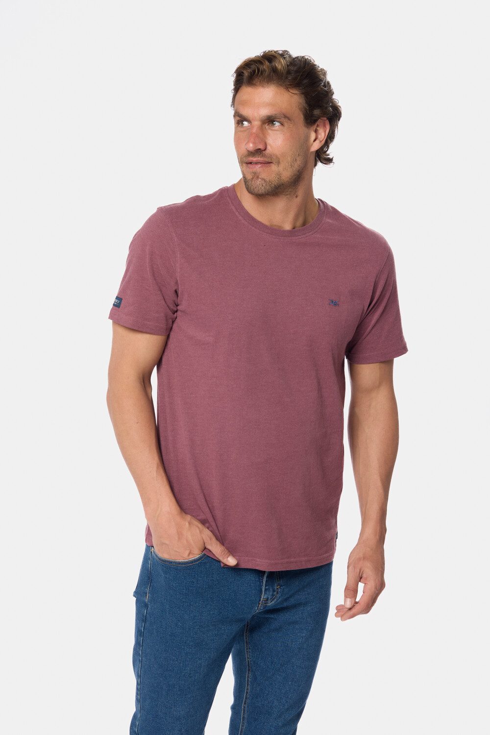 REMERA LISA DE ALGODÓN Bordo