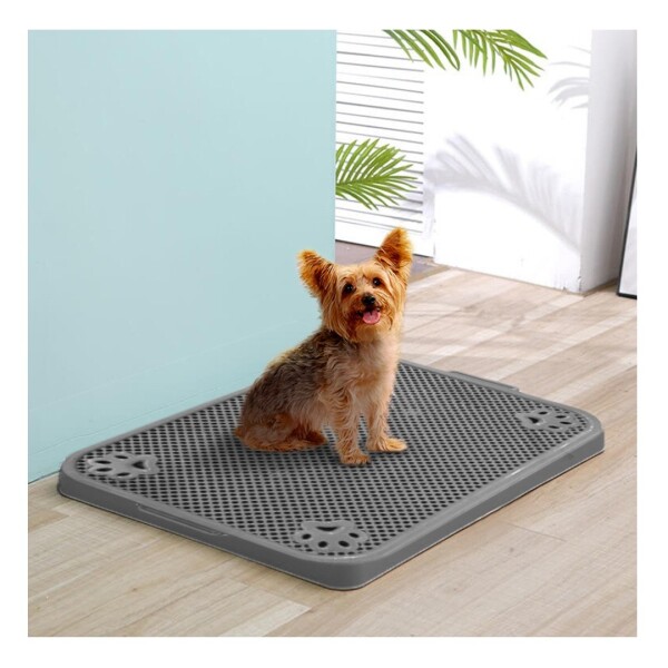 Bandeja Sanitaria Plana Entrenamiento Mascota Reutilizable Color Variante Azul