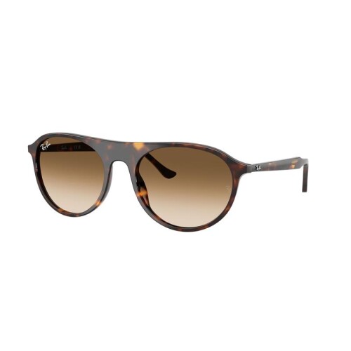Ray Ban Rb2215 902/51