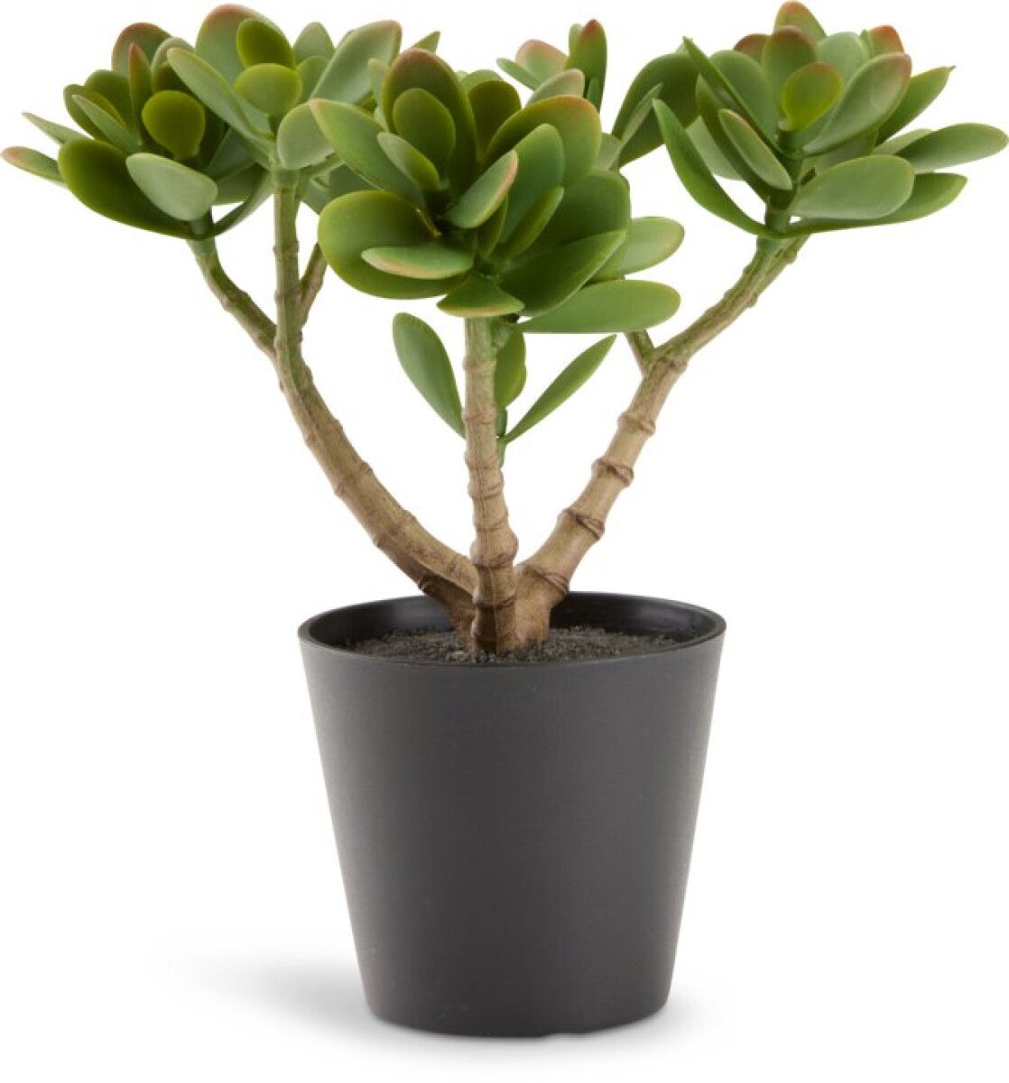 Planta artificial JOSTEIN H23 cm verde 