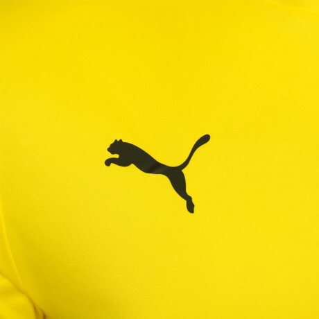 CAMISETA PEÑAROL PUMA TEAMLIGA 07
