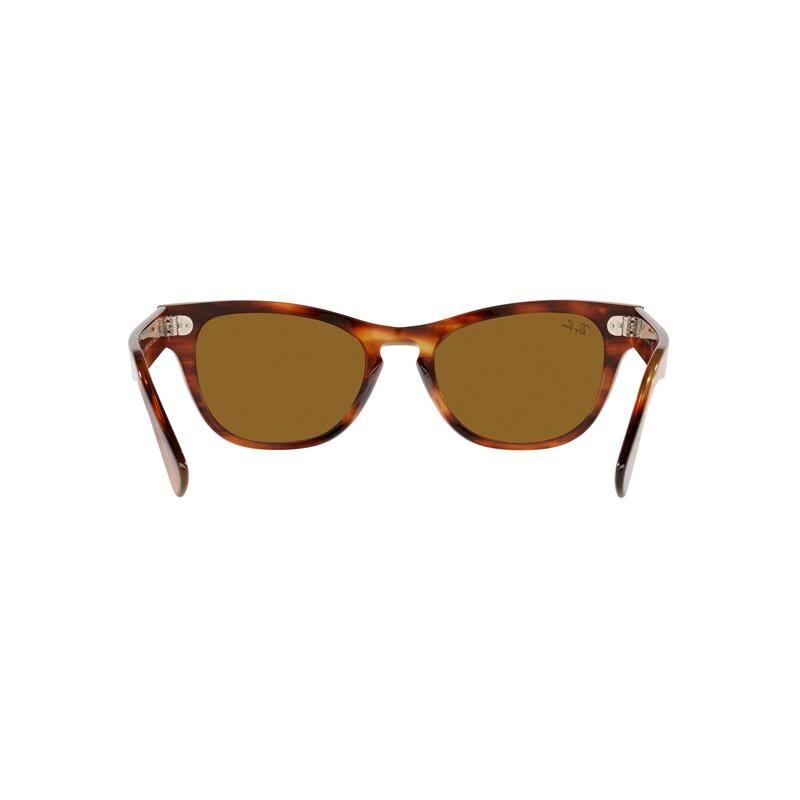 Ray Ban Rb2201 Laramie 954/33