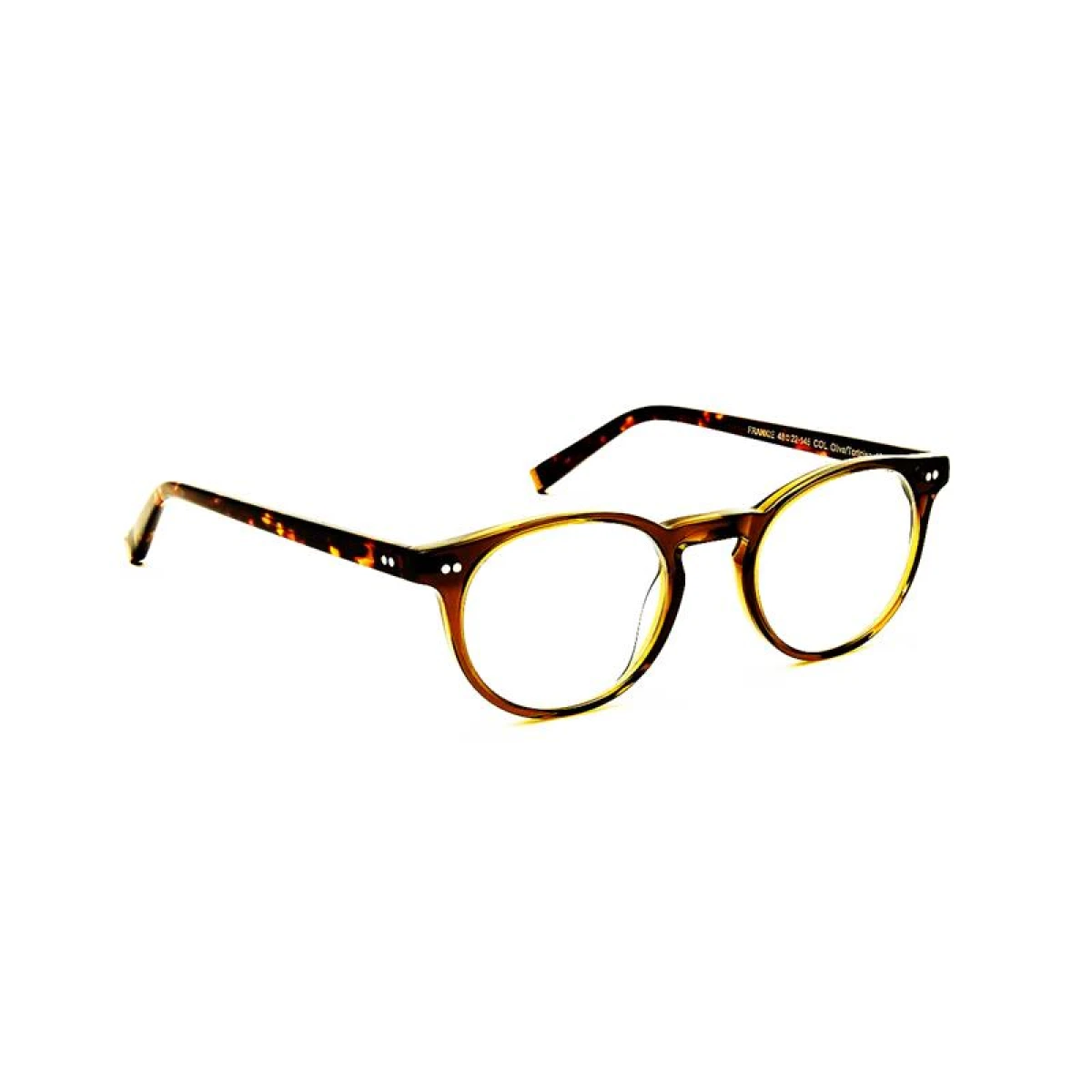 Moscot Frankie - Olive/tortoise 