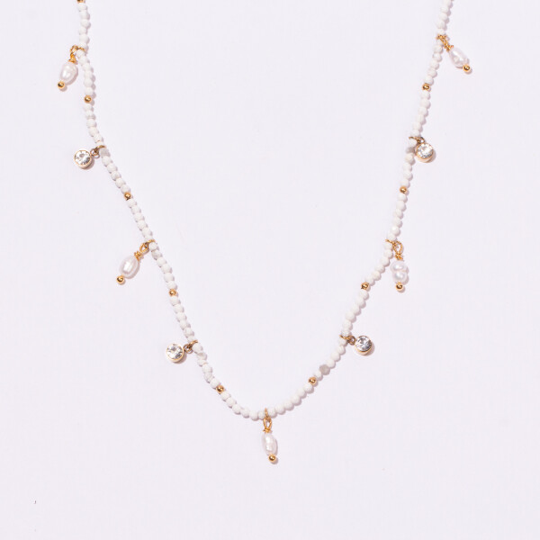 COLGANTE ANTÁRTICO COLGANTE ANTÁRTICO