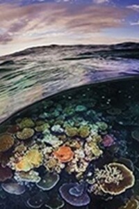 Dos Mundos: Entre El Cielo Y El Mar Dos Mundos: Entre El Cielo Y El Mar
