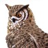 Búho Real Ave Safari Figura Colección Animal Realista Búho Real Ave Safari Figura Colección Animal Realista