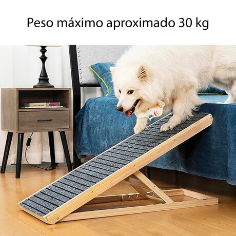 Rampa Para Mascotas Grande Plegable Liviana Compacta Gris
