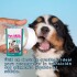 PET MILK SUSTITUTO LECHE MATERNA DE 100 GRAMOS PET MILK SUSTITUTO LECHE MATERNA DE 100 GRAMOS