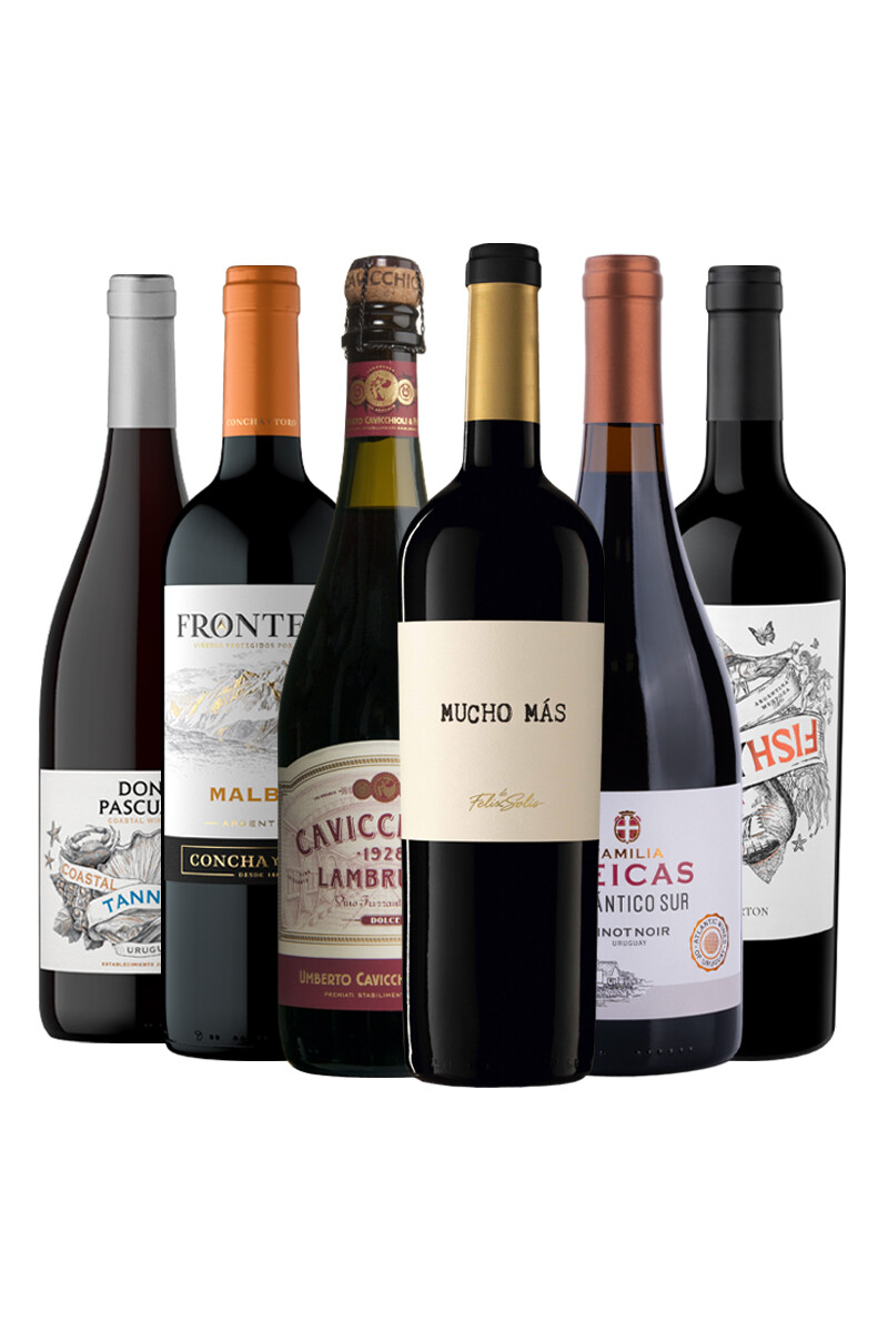 Pack Selección Bloom Season x6 vinos Tintos Frescos 