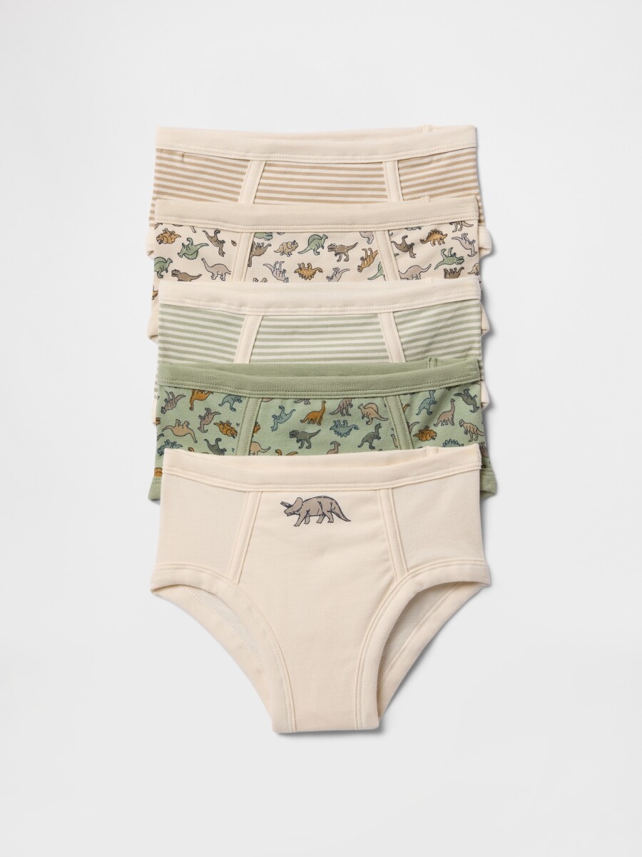 V-TB 5PK UNDRWR - DESERT SAGE 