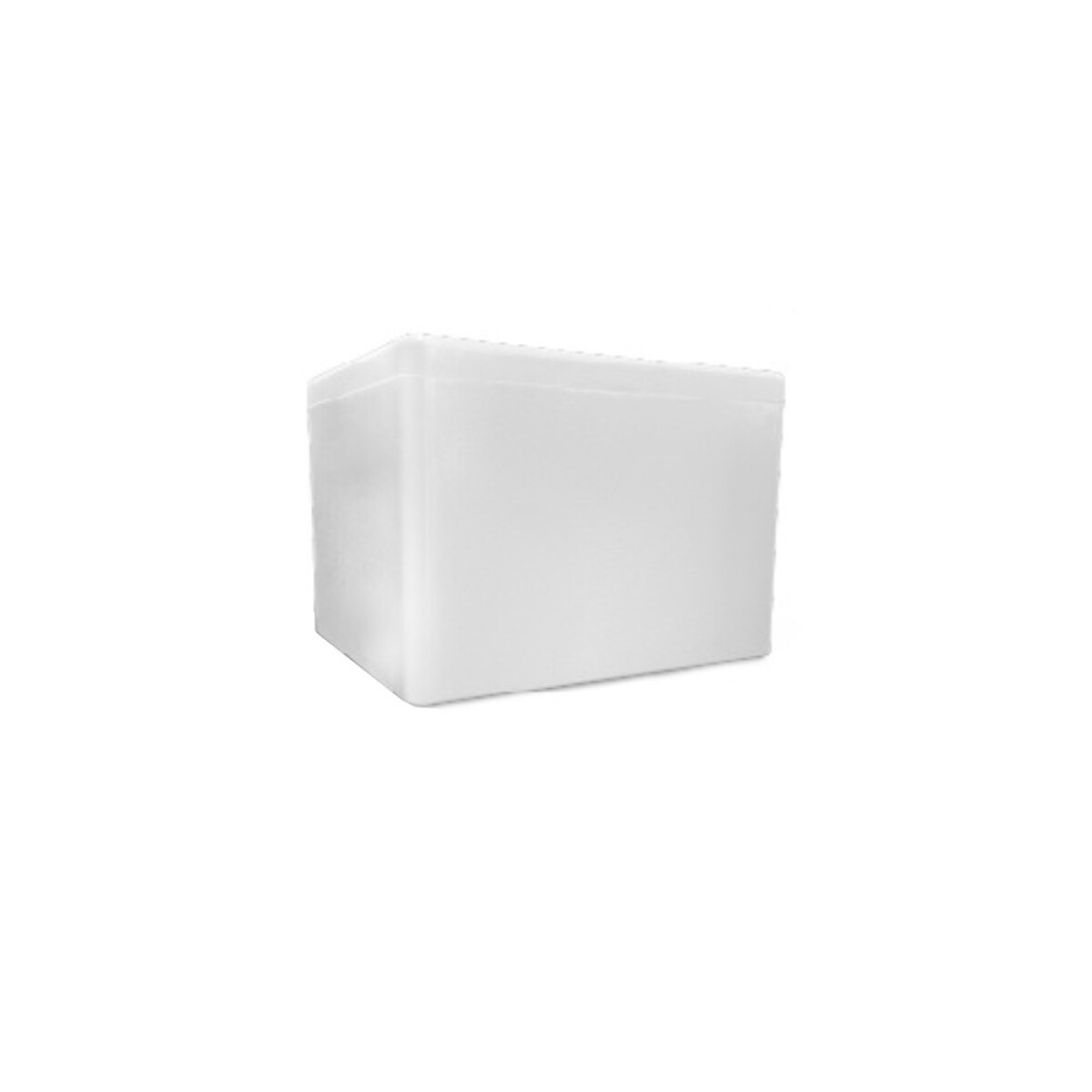 HELADERA ESPUMA 55X50X39CM - 50 LTS.FUNDAX2 