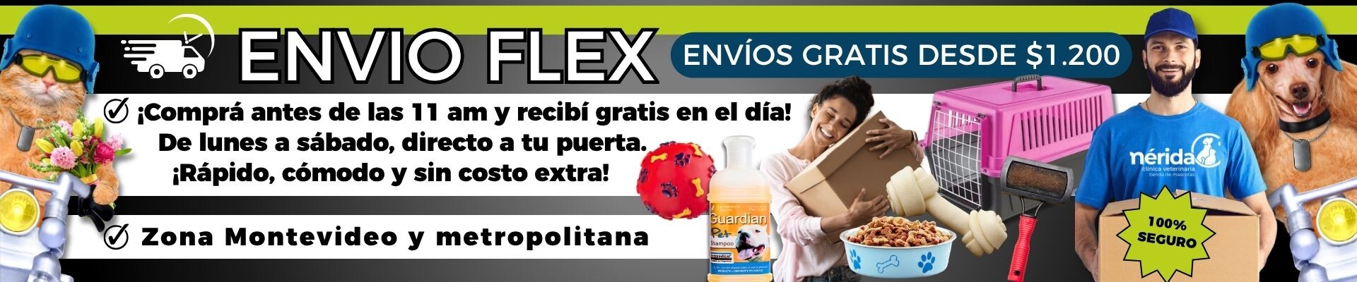 Envio flex