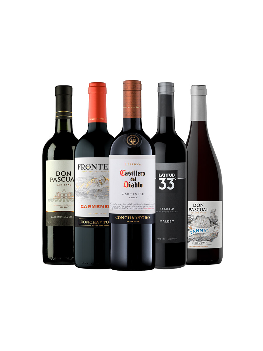 Pack Bacán Selección Clásicos del Cono Sur x5 vinos Pack Bacán Selección Clásicos del Cono Sur x5 vinos