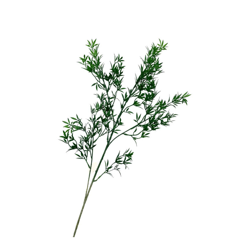 Rama de Hojas Rama de Hojas