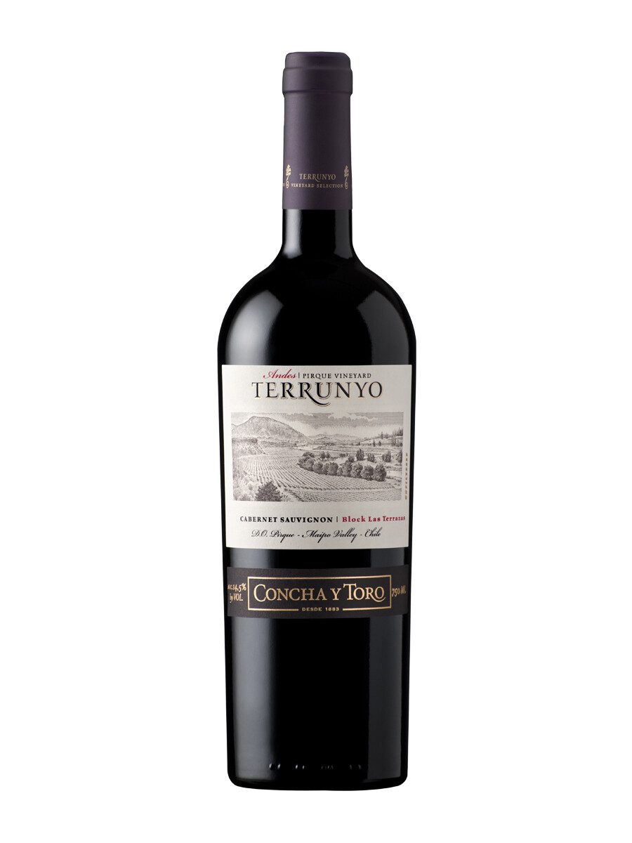Vino Terrunyo Cabernet Sauvignon 750 ml Vino Terrunyo Cabernet Sauvignon 750 ml