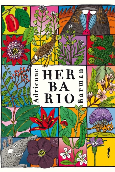 HERBARIO HERBARIO