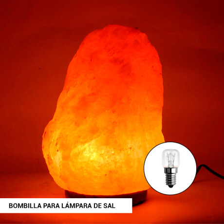 LAMPARA FILAMENTO<br /> INCANDESCENTE ST26 PARA LAMPARA<br /> <br /> DE SAL Lámpara Filamento Incandescente E14 ST26