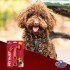MARTILLO GOMA PET INJET PLAY MARTILLO GOMA PET INJET PLAY