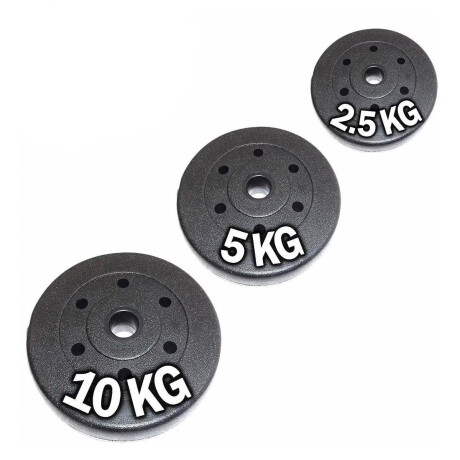 Disco 2.5kg Expert Revestido Pesa P/ Barras y mancuernas Barra No Oxida Fit014004-2k5