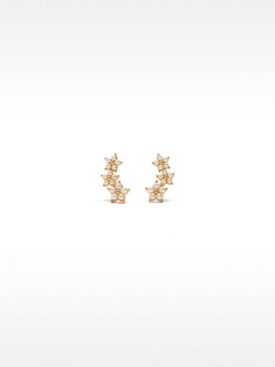 Pendientes Con Circonitas - Plata De Ley 925 dorado