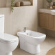 Bidet Blanco Brillo Con Transferencia Malawi 54.5X41.5X35.5 000