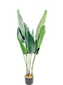 Planta Platano 115cm Color Unico