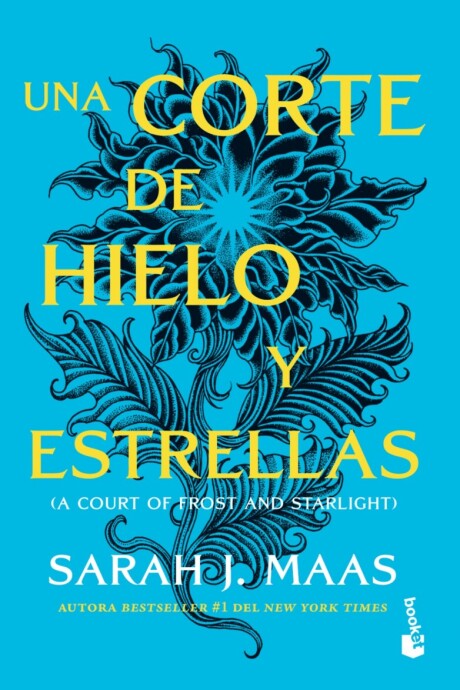 UNA CORTE DE HIELO Y ESTRELLAS 4 UNA CORTE DE HIELO Y ESTRELLAS 4