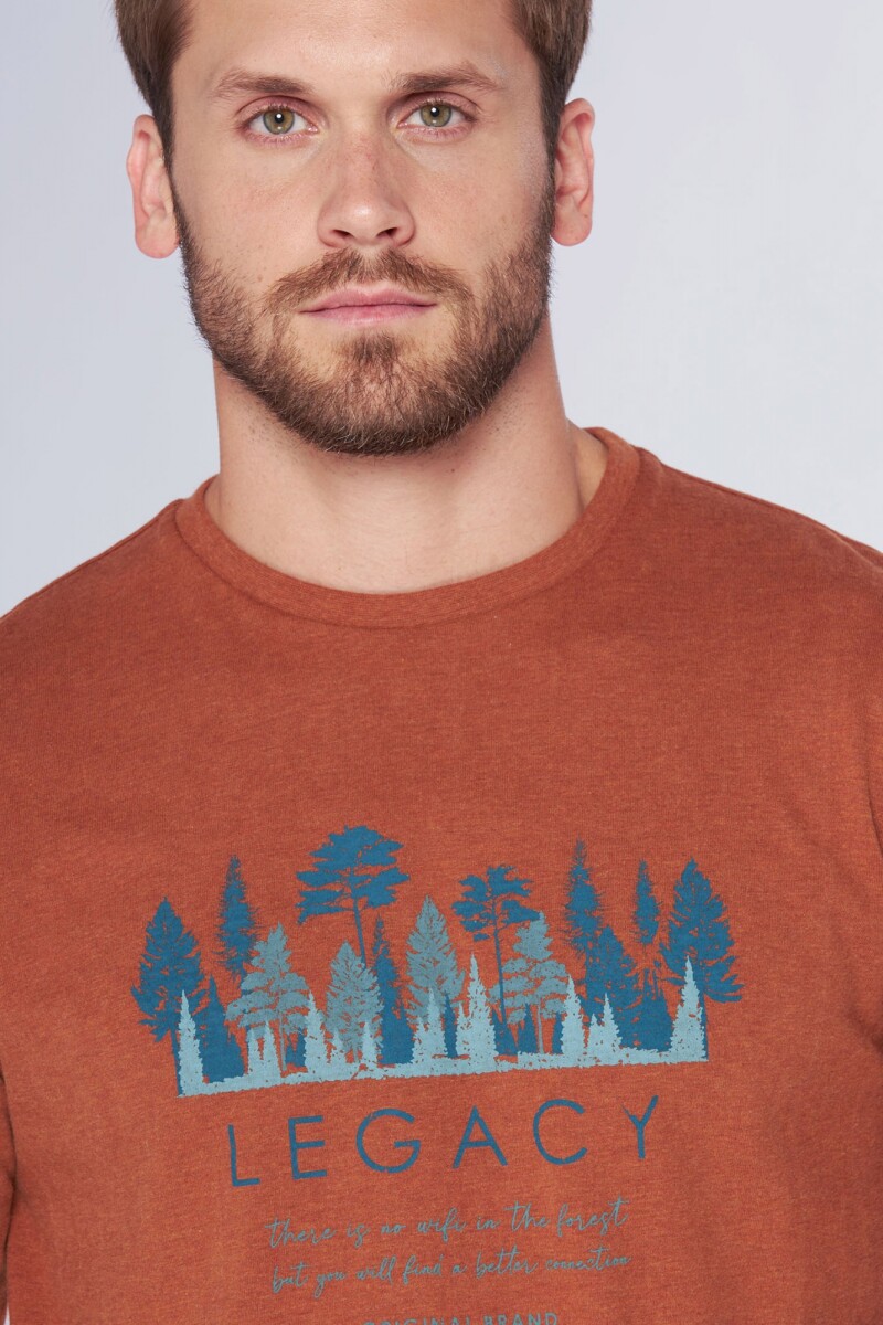 REMERA ESTAMPADA MANGA CORTA - Terracota 
