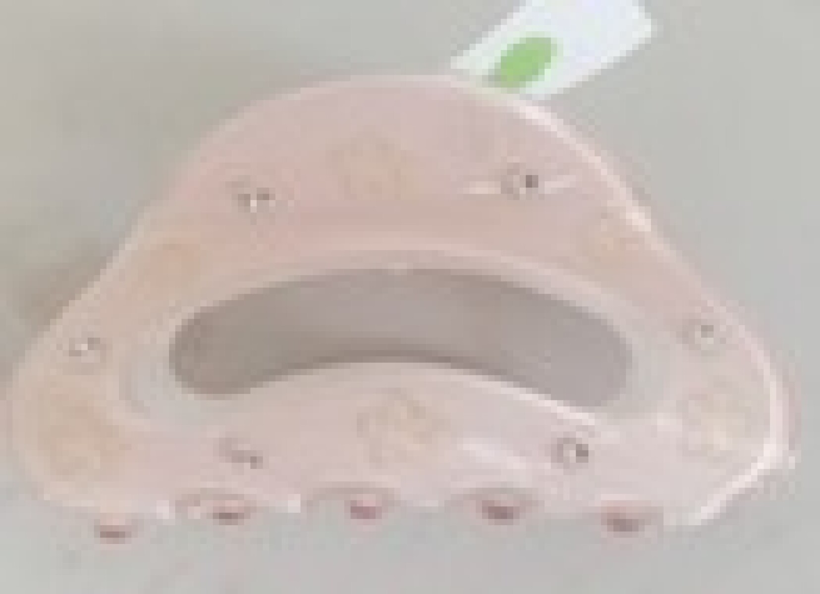 CLIPS DE PELO DE CHERRY BLOSSOM (5) 