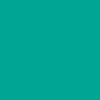 Capri Pull On VERDE