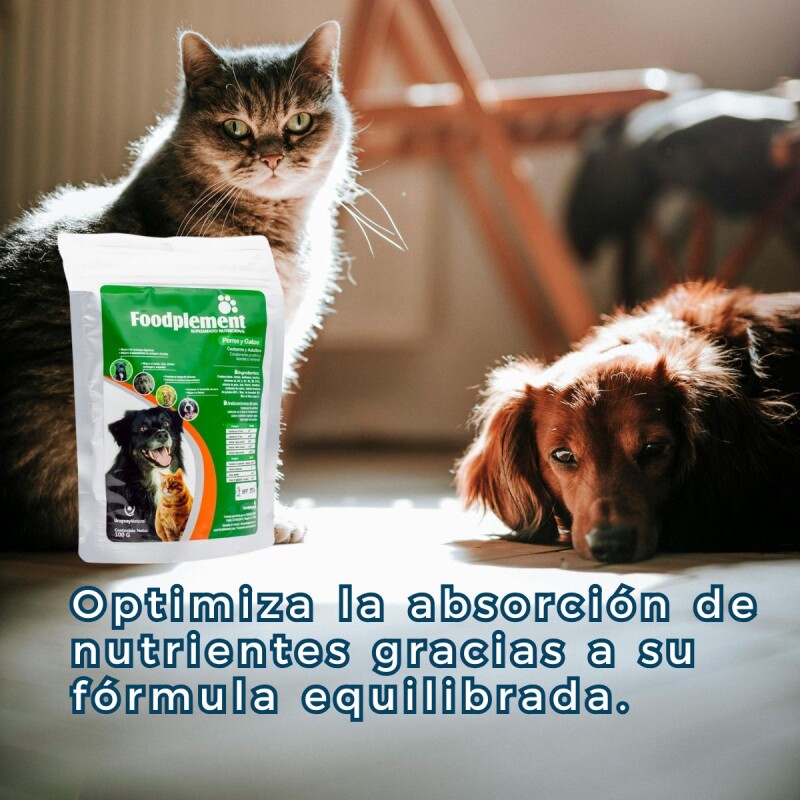 FOODPLEMENT SOBRE DE 100 G FOODPLEMENT SOBRE DE 100 G