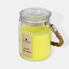 VELA CITRONELA EN POTE DE VIDRIO COLG Unica