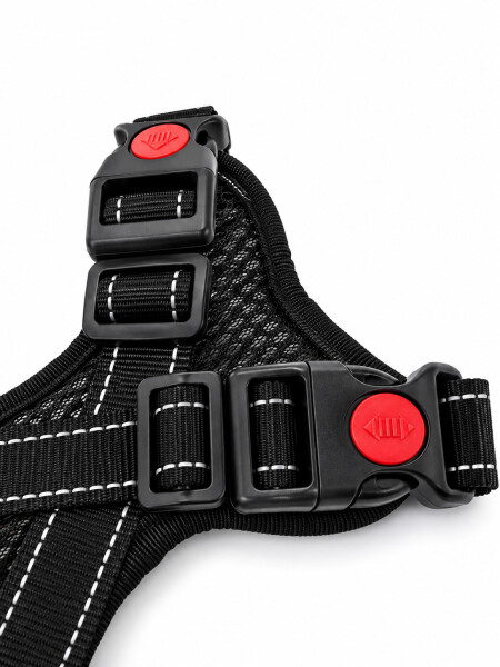 ARNES PARA PERROS 2 O +