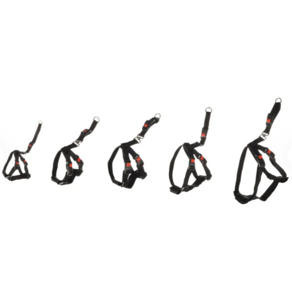 ARNES DE SEGURIDAD COCHE DUMA M NEGRO 40-60CM ARNES DE SEGURIDAD COCHE DUMA M NEGRO 40-60CM