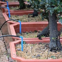 Gotero estaca 2,6 lts/h Gotero estaca 2,6 lts/h