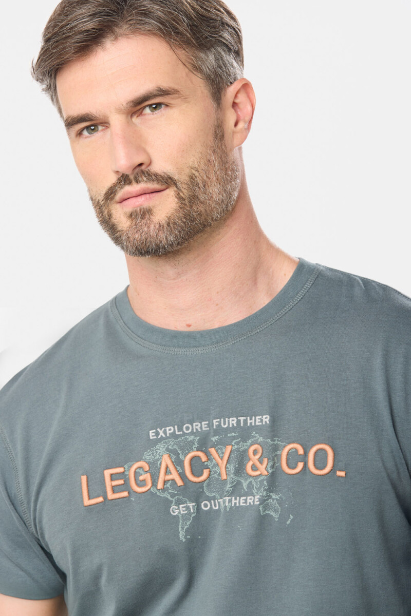 REMERA ESTAMPADA - Petroleo 