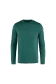 Abisko Wool LS M Arctic Green