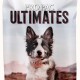 Pro Pac Ultimates Perro Adulto Chicken & Ricen12 kg + REGALO Pro Pac Ultimates Perro Adulto Chicken & Ricen12 kg + REGALO