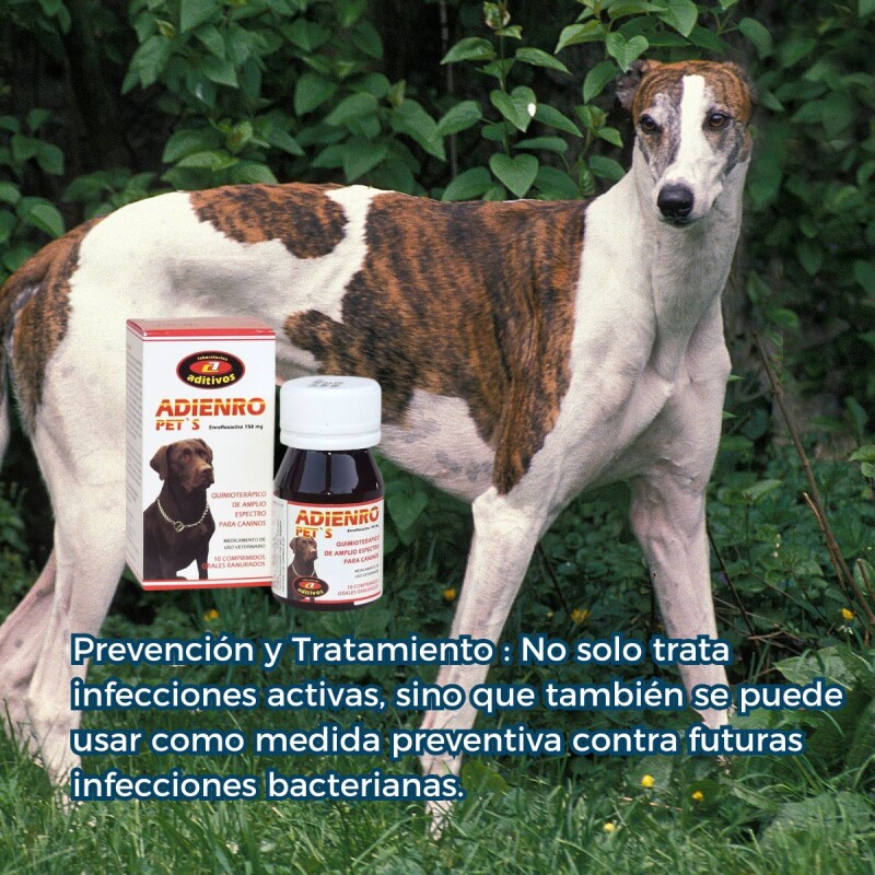 ADIENRO PET`S 150 MG X FRASCO DE 10 COMPRIMIDOS ADIENRO PET`S 150 MG X FRASCO DE 10 COMPRIMIDOS