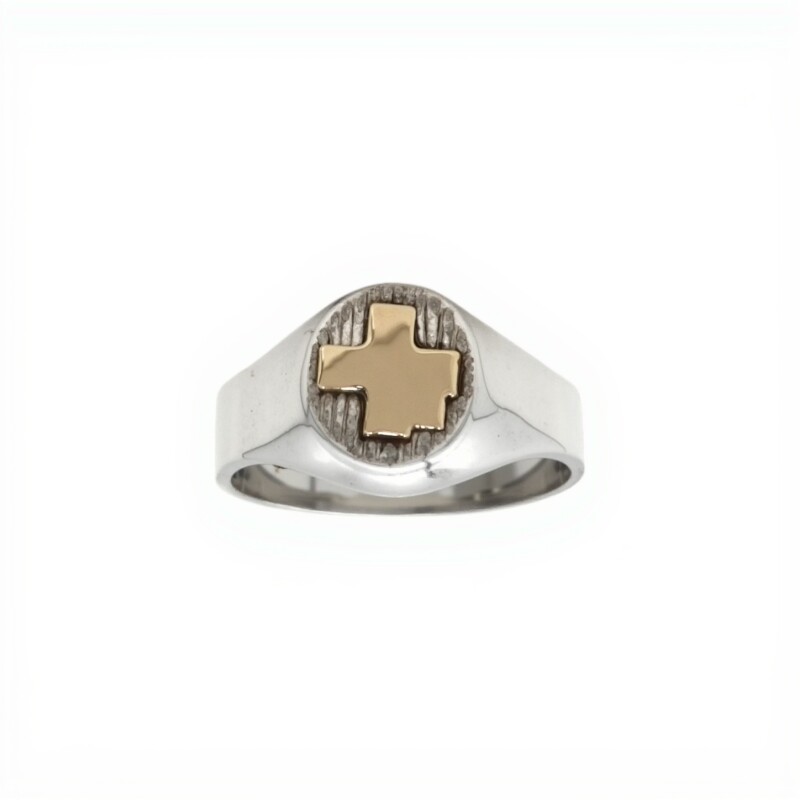 Anillo Profesión Enfermería -Plata y Oro -Sin Piedra-AP5063 sinpiedra