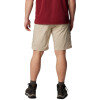 Pantalon Silver Ridge Utility Hombre ANCIENT FOSSIL