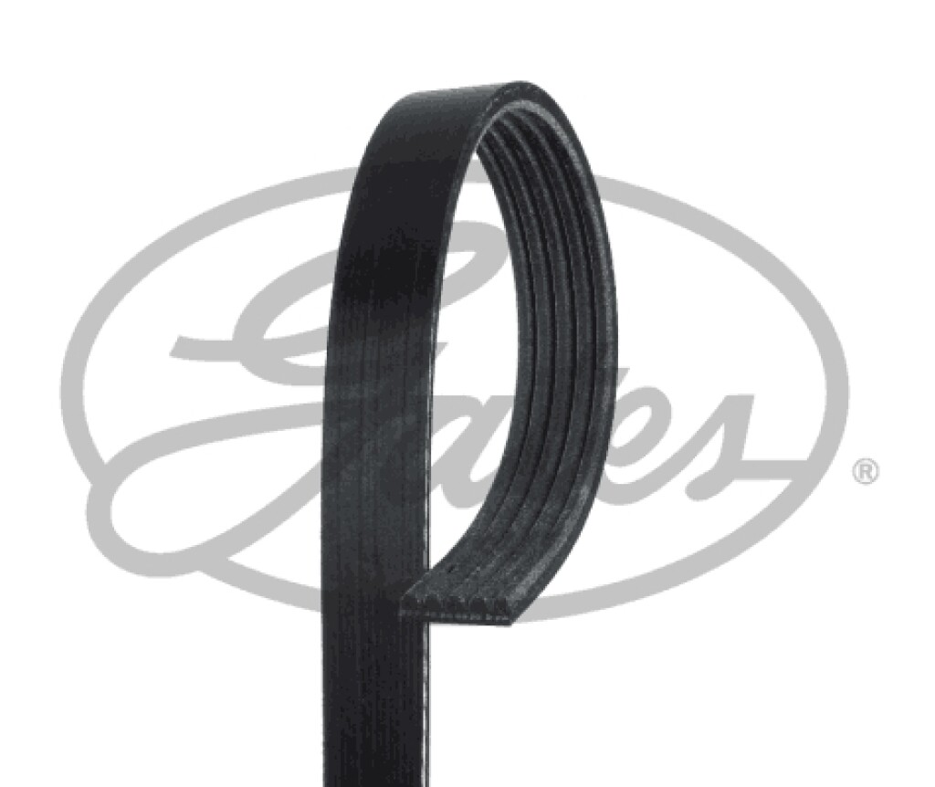 CORREA ALTERNADOR CITROEN - PEUGEOT BX 309 405 1.9 16V MEGANE JAC J2 J3 GATES