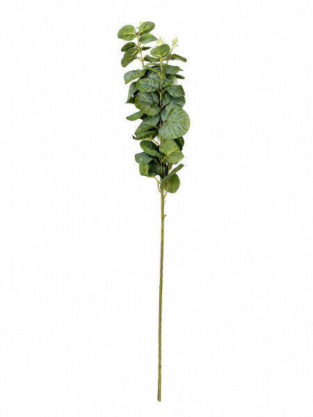 PLANTA VERDE