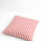 Almohadón Lidia Rayas 50x50 Estampado 3