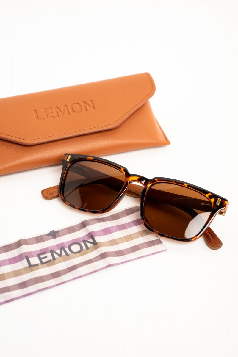 Lentes De Sol Polarizados Marron