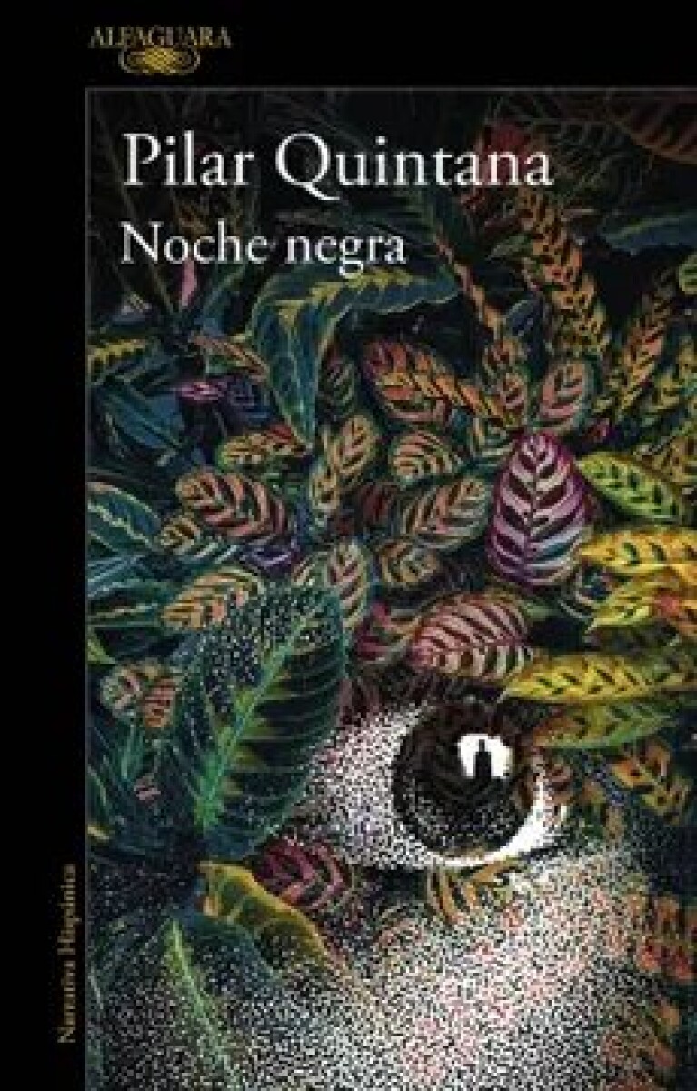 NOCHE NEGRA 